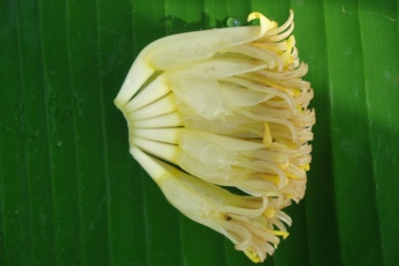 LEI-A01 2027-08-12 观察照片